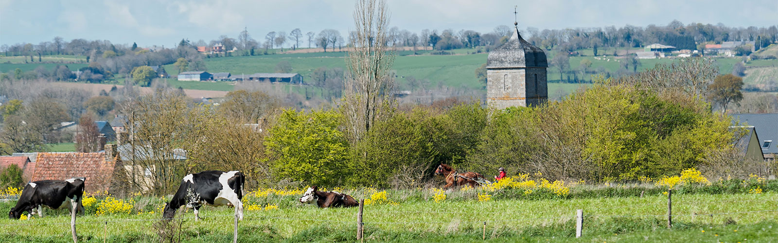 Bienvenue sur le site officiel de Bacilly, une commune où il fait bon